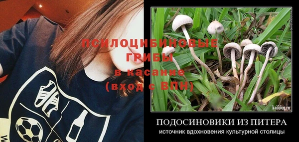 таблы Абаза