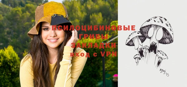 мяу мяу мука Абдулино